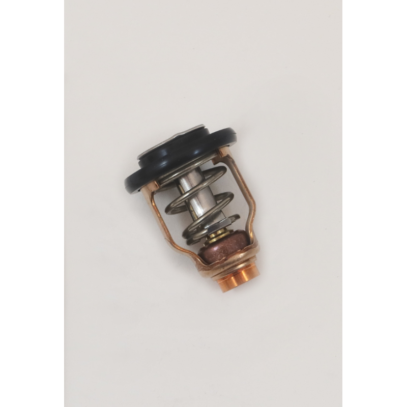 Termostat REC67F1241101 REC67F-12411-01 YAM67F-12411-01